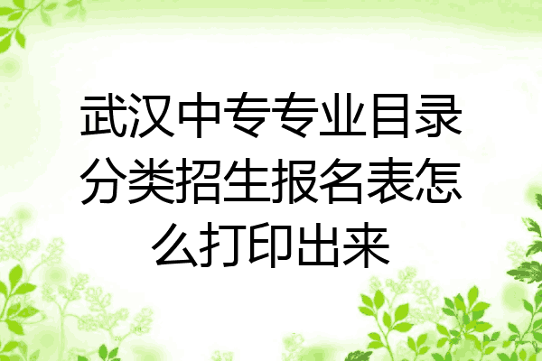 武汉中专专业目录分类招生报名表怎么打印出来