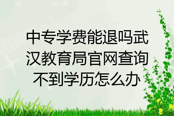中专学费能退吗武汉教育局官网查询不到学历怎么办