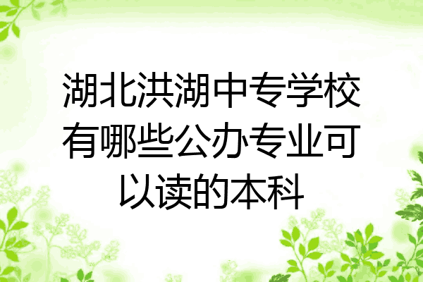 湖北洪湖中专学校有哪些公办专业可以读的本科