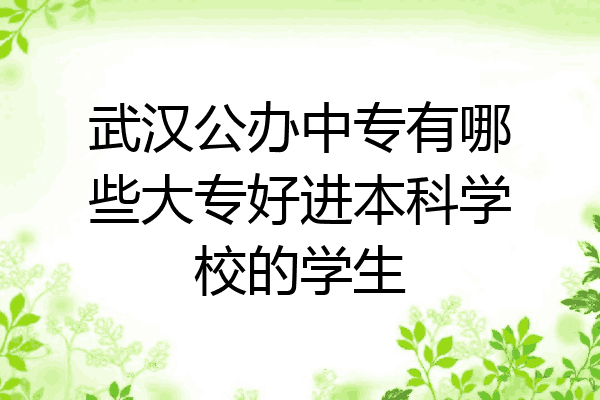 武汉公办中专有哪些大专好进本科学校的学生