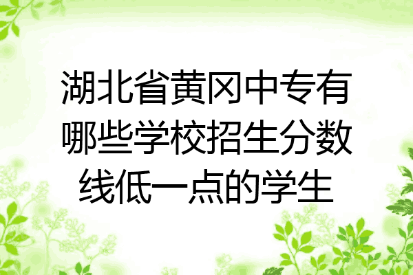 湖北省黄冈中专有哪些学校招生分数线低一点的学生