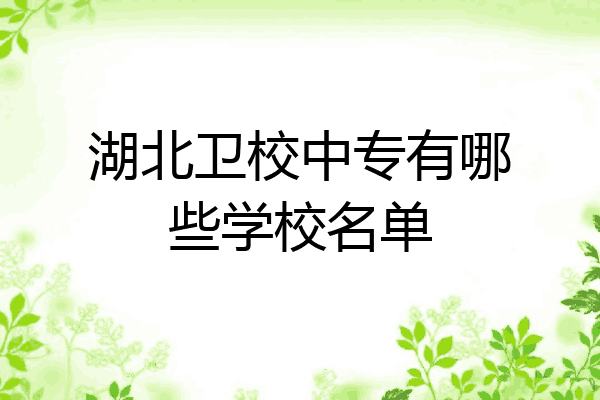 湖北卫校中专有哪些学校名单