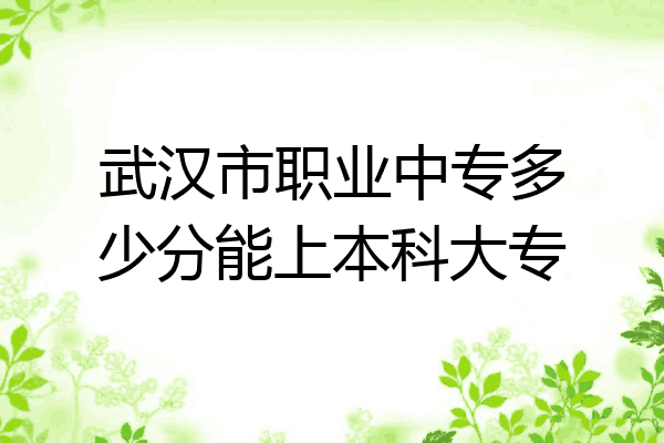 武汉市职业中专多少分能上本科大专