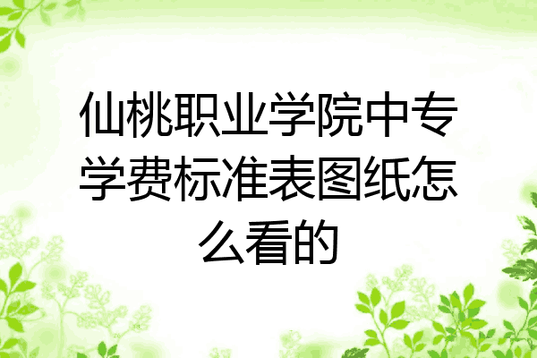 仙桃职业学院中专学费标准表图纸怎么看的
