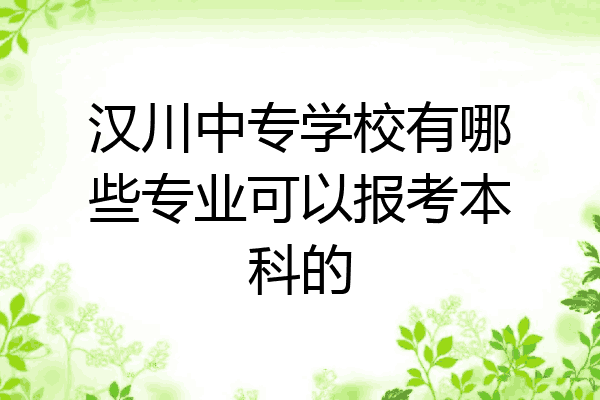 汉川中专学校有哪些专业可以报考本科的