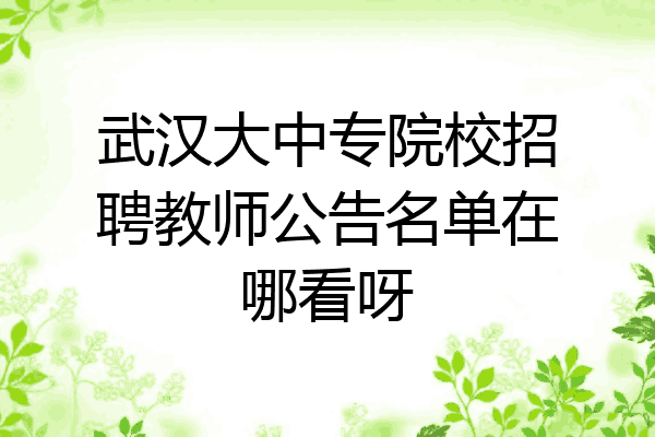 武汉大中专院校招聘教师公告名单在哪看呀