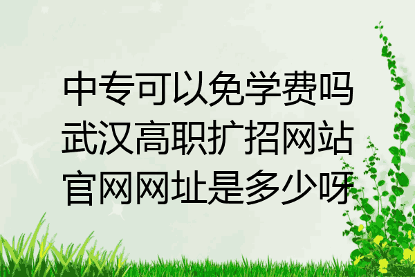 中专可以免学费吗武汉高职扩招网站官网网址是多少呀