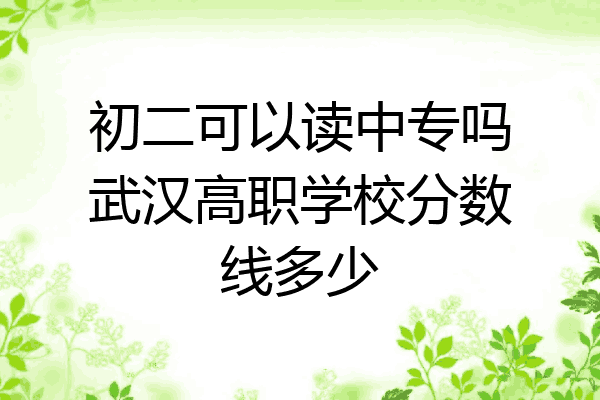 初二可以读中专吗武汉高职学校分数线多少