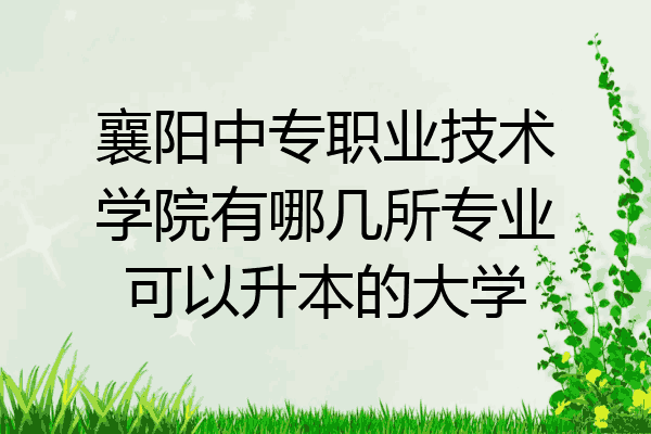 襄阳中专职业技术学院有哪几所专业可以升本的大学