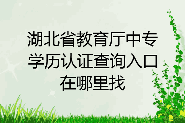 湖北省教育厅中专学历认证查询入口在哪里找