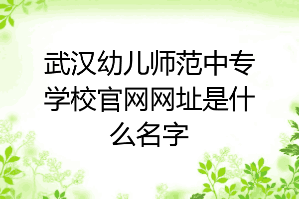 武汉幼儿师范中专学校官网网址是什么名字