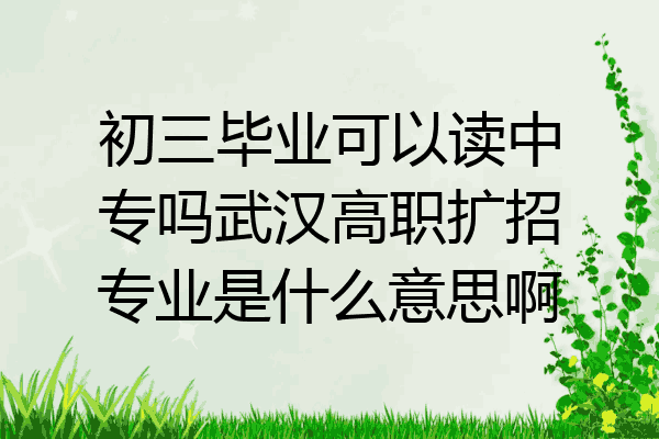 初三毕业可以读中专吗武汉高职扩招专业是什么意思啊