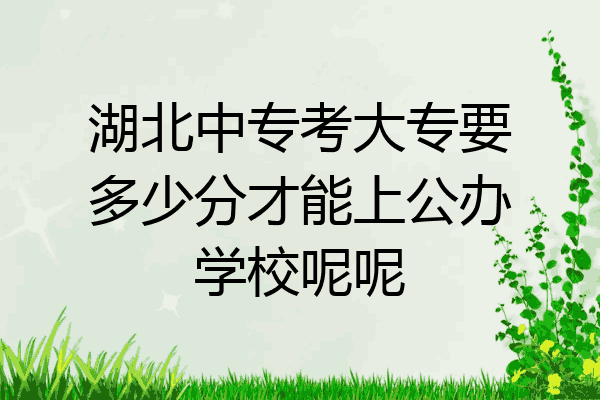 湖北中专考大专要多少分才能上公办学校呢呢
