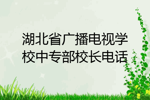 湖北省广播电视学校中专部校长电话