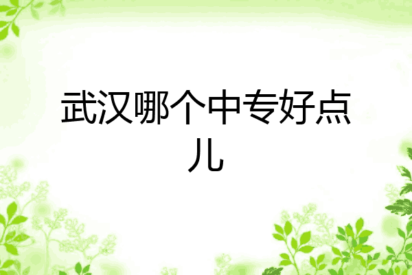 武汉哪个中专好点儿