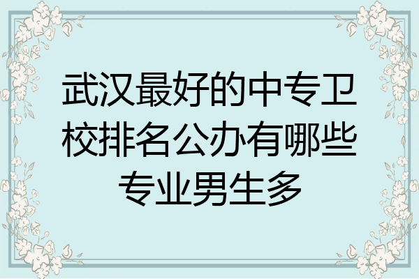 武汉最好的中专卫校排名公办有哪些专业男生多