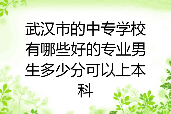 武汉市的中专学校有哪些好的专业男生多少分可以上本科
