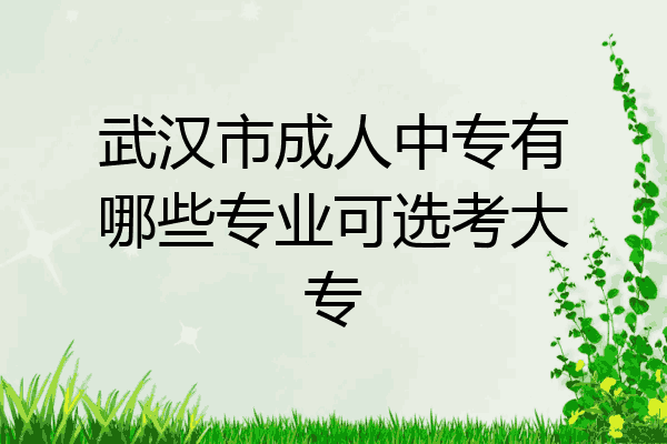 武汉市成人中专有哪些专业可选考大专