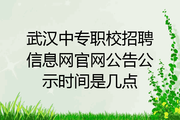 武汉中专职校招聘信息网官网公告公示时间是几点