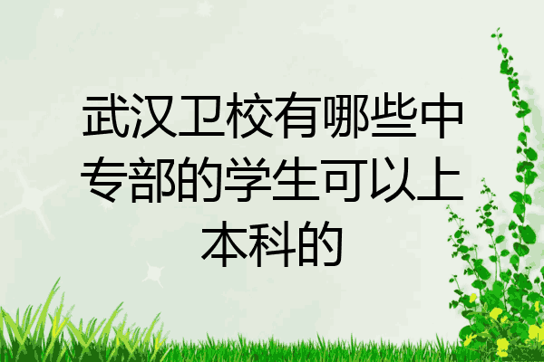 武汉卫校有哪些中专部的学生可以上本科的