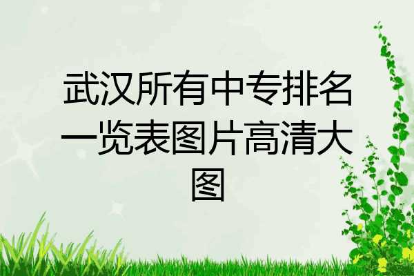 武汉所有中专排名一览表图片高清大图