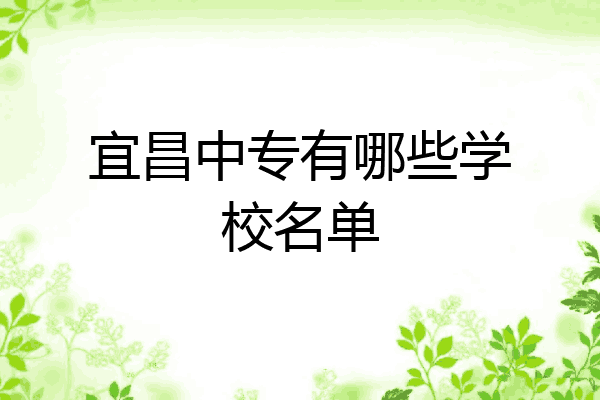 宜昌中专有哪些学校名单