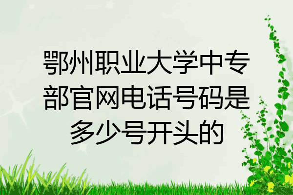 鄂州职业大学中专部官网电话号码是多少号开头的