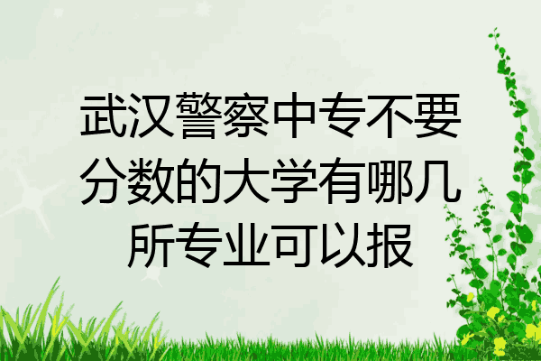 武汉警察中专不要分数的大学有哪几所专业可以报