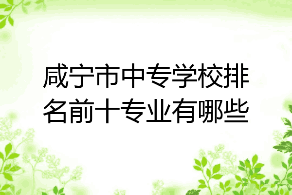 咸宁市中专学校排名前十专业有哪些