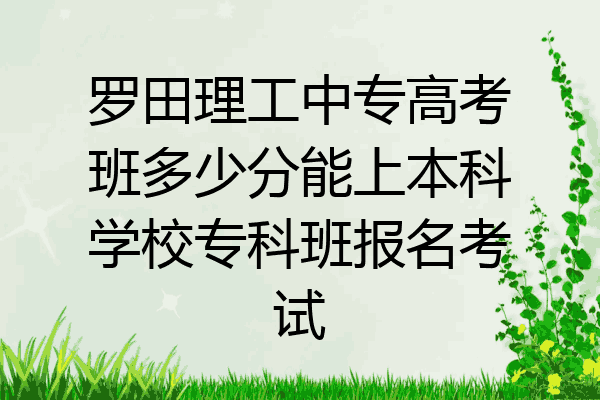 罗田理工中专高考班多少分能上本科学校专科班报名考试