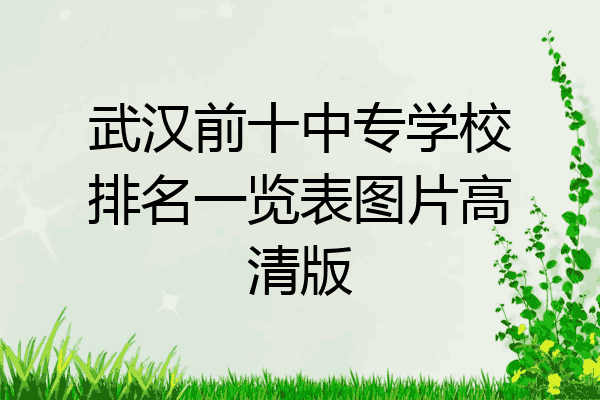 武汉前十中专学校排名一览表图片高清版