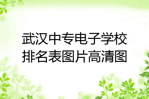 武汉中专电子学校排名表图片高清图