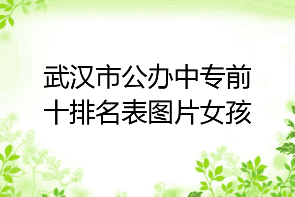 武汉市公办中专前十排名表图片女孩