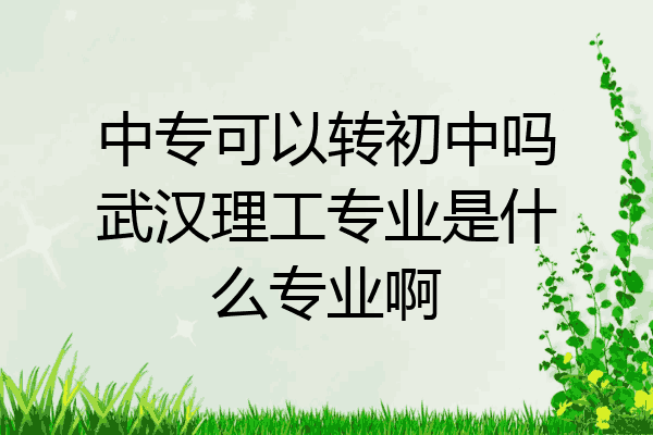 中专可以转初中吗武汉理工专业是什么专业啊