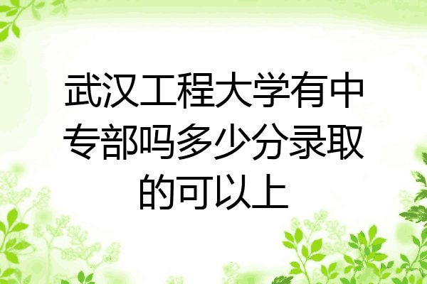 武汉工程大学有中专部吗多少分录取的可以上