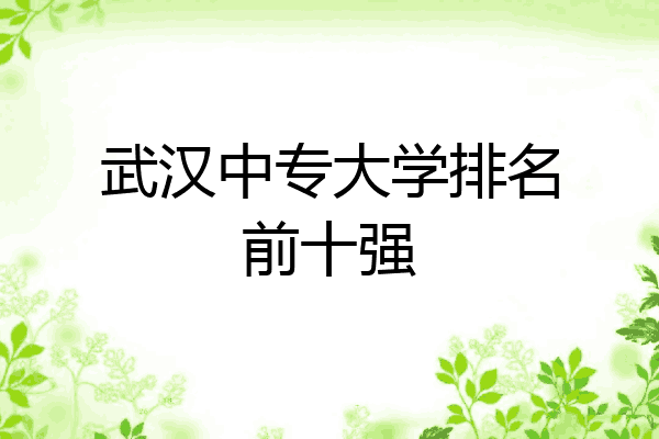 武汉中专大学排名前十强
