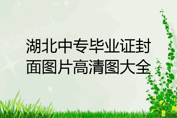 湖北中专毕业证封面图片高清图大全