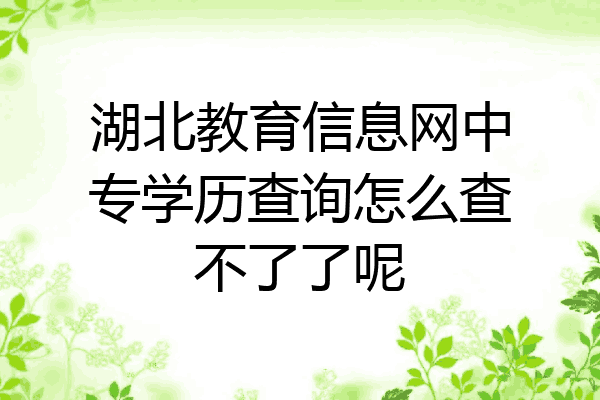 湖北教育信息网中专学历查询怎么查不了了呢