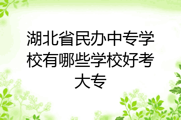 湖北省民办中专学校有哪些学校好考大专