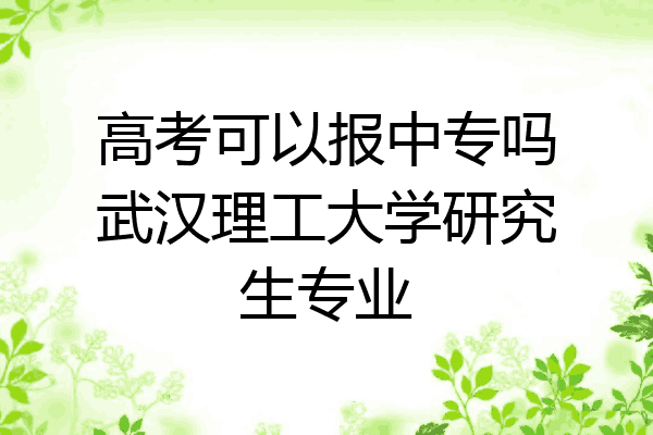 高考可以报中专吗武汉理工大学研究生专业