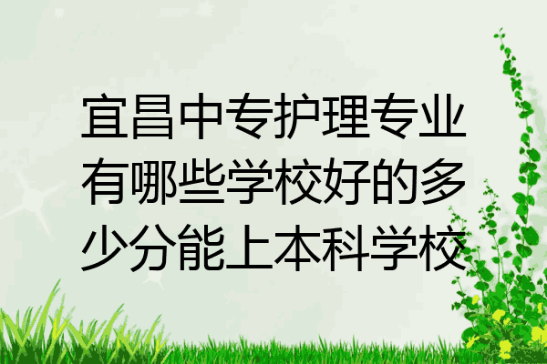 宜昌中专护理专业有哪些学校好的多少分能上本科学校