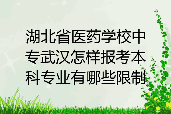 湖北省医药学校中专武汉怎样报考本科专业有哪些限制