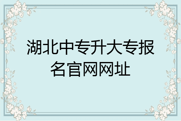 湖北中专升大专报名官网网址