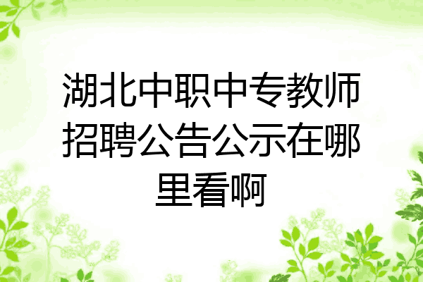 湖北中职中专教师招聘公告公示在哪里看啊