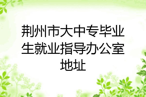 荆州市大中专毕业生就业指导办公室地址