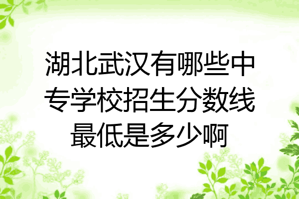 湖北武汉有哪些中专学校招生分数线最低是多少啊