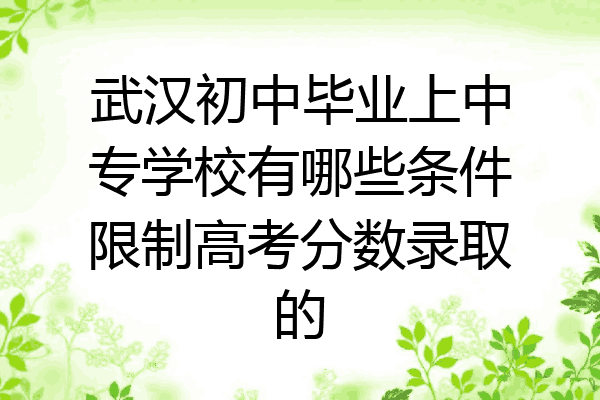 武汉初中毕业上中专学校有哪些条件限制高考分数录取的