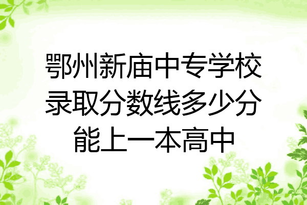 鄂州新庙中专学校录取分数线多少分能上一本高中