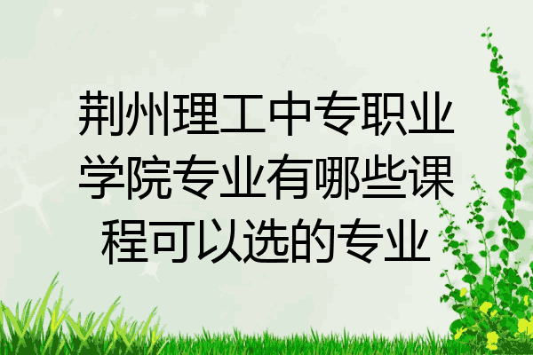 荆州理工中专职业学院专业有哪些课程可以选的专业