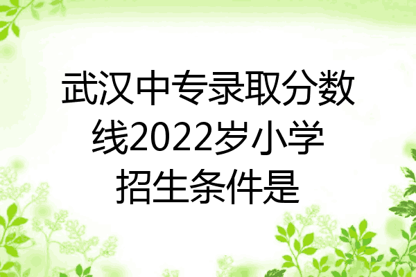武汉中专录取分数线2022岁小学招生条件是